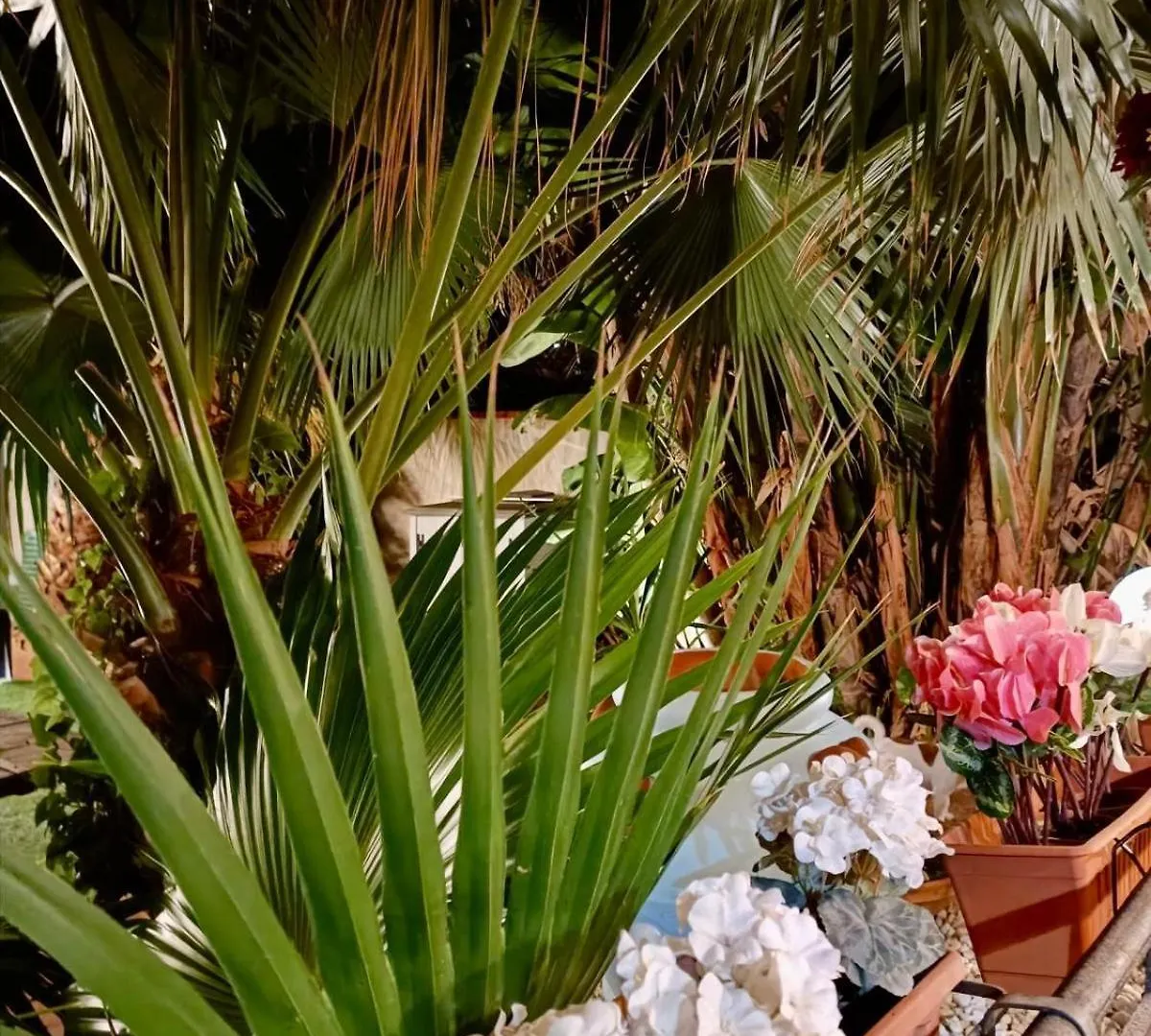 Bed & Breakfast Villa Antonella Rooms Mondello Palermo Italy